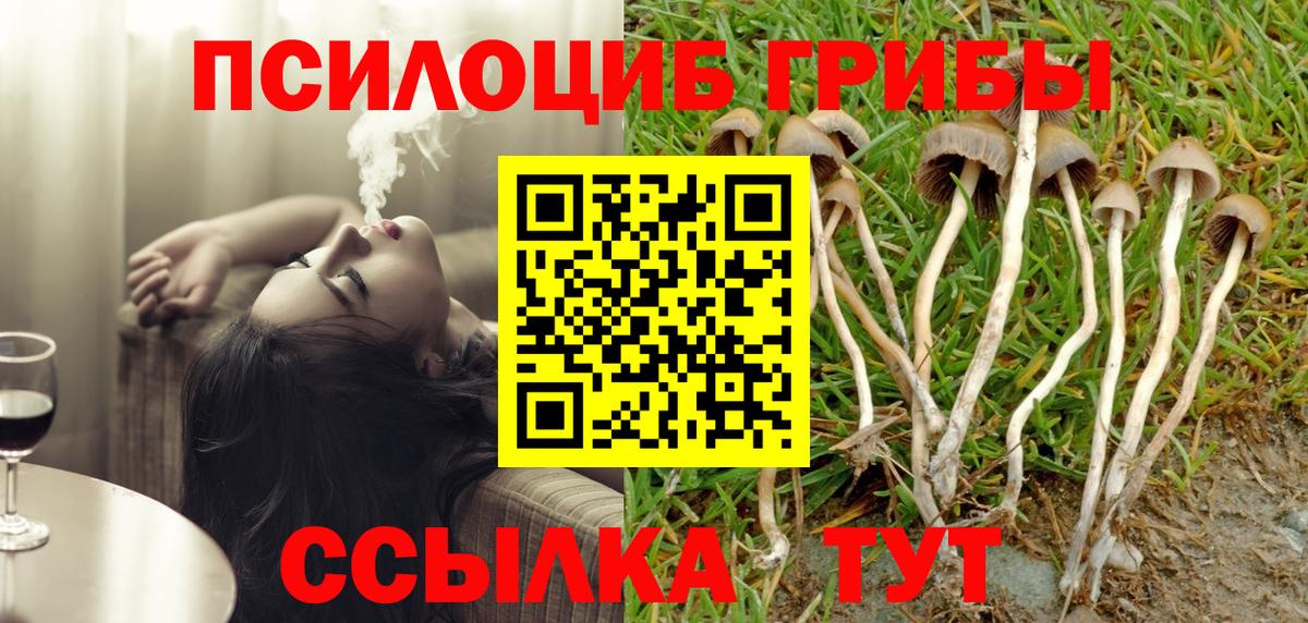 Псилоцибиновые грибы Cubensis Лосино-Петровский